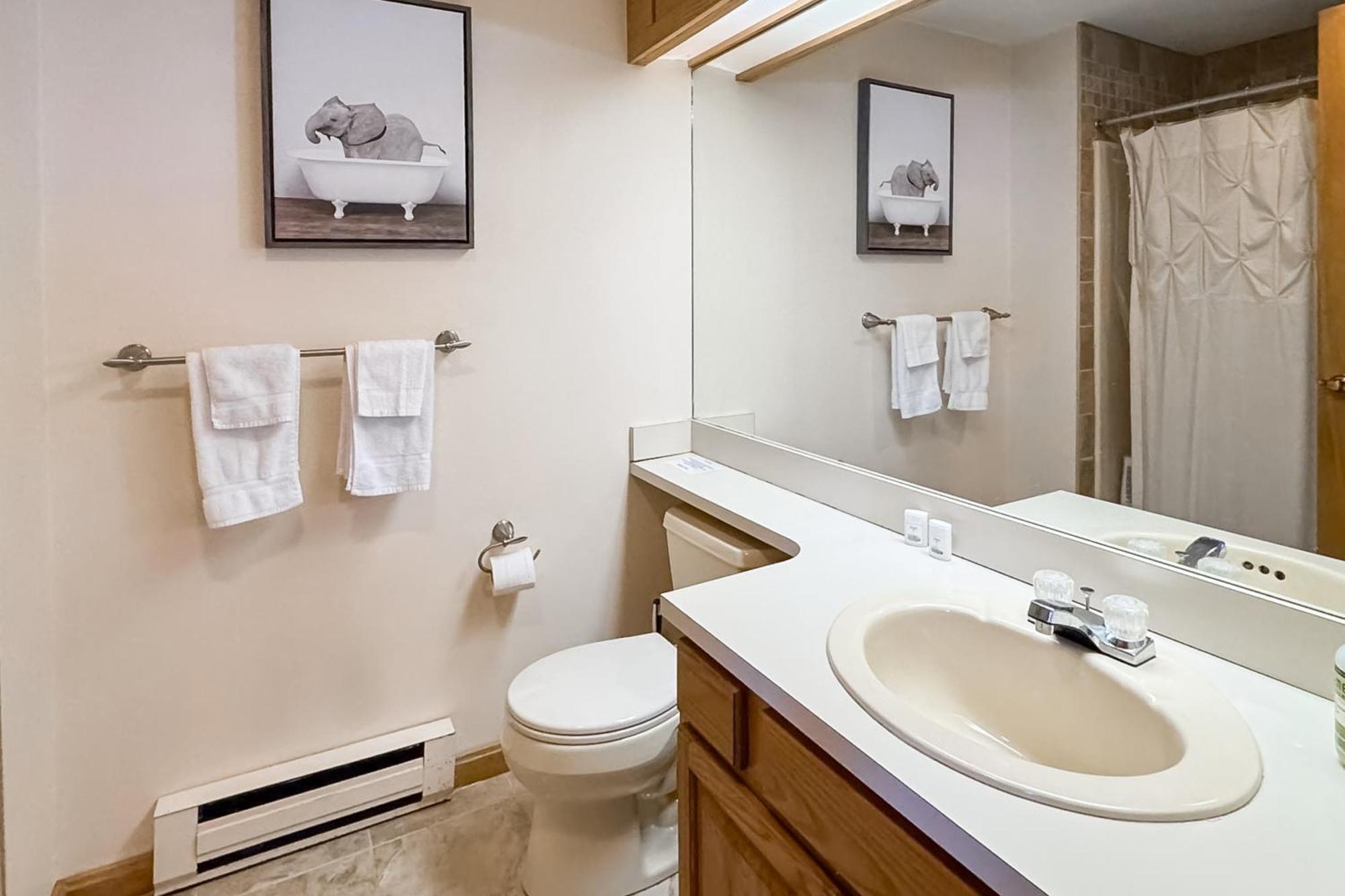 Best Views Of Mt Washington Bartlett Bagian luar foto